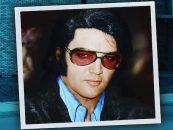 Elvis Presley'回到纳什维尔的收藏